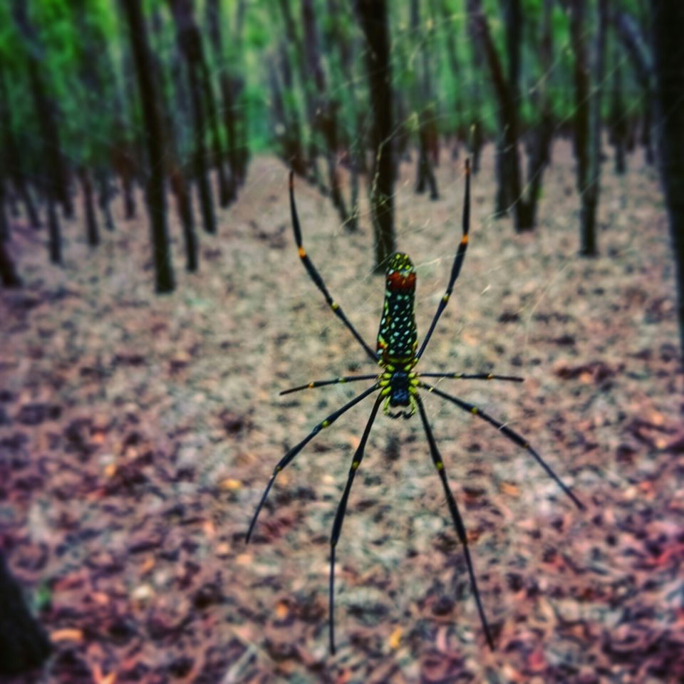 Photo of Hosahalli, Bengaluru, Karnataka, India by majaz rahil khan