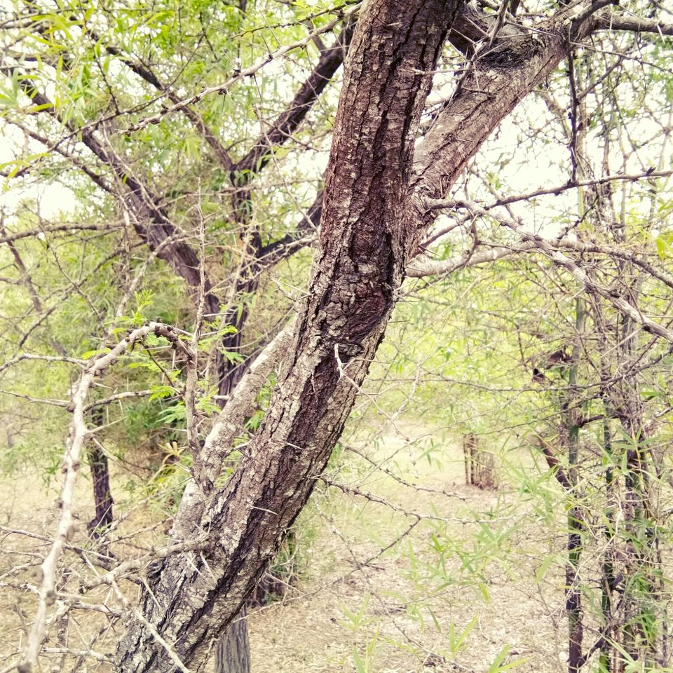 Photo of Hosahalli, Bengaluru, Karnataka, India by majaz rahil khan