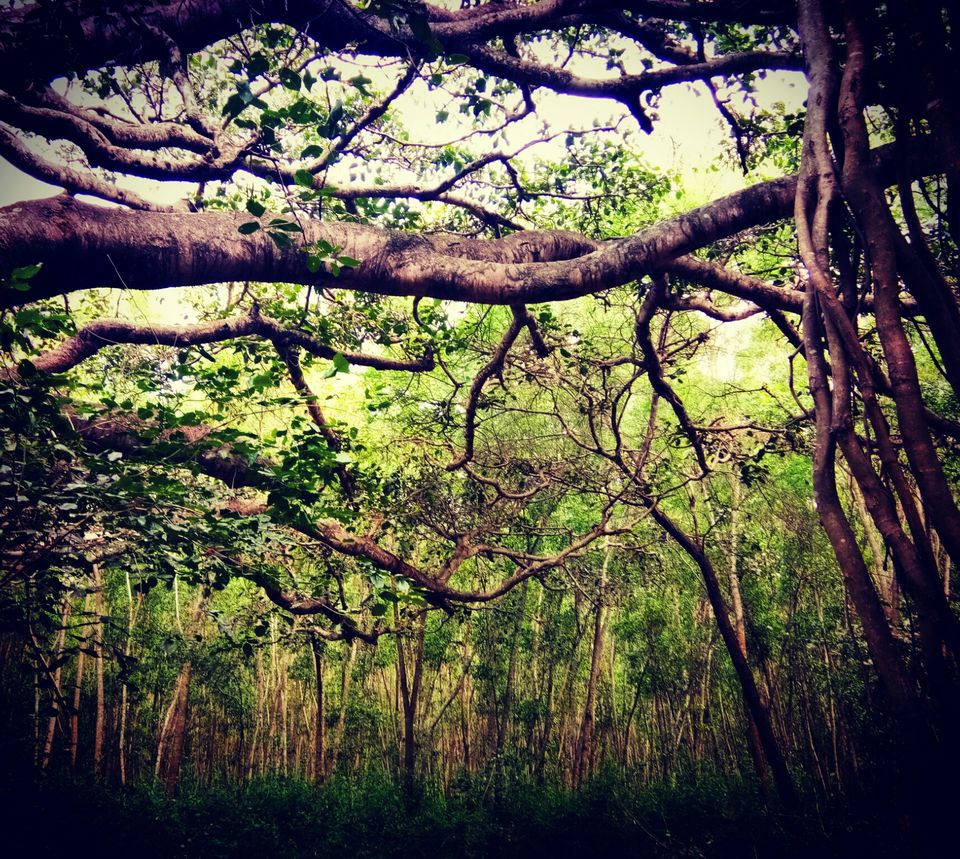 Photo of Hosahalli, Bengaluru, Karnataka, India by majaz rahil khan