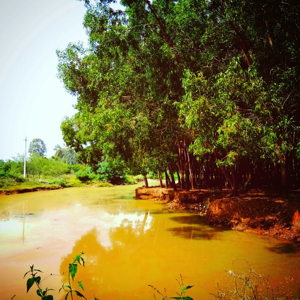 Photo of Hosahalli, Bengaluru, Karnataka, India by majaz rahil khan