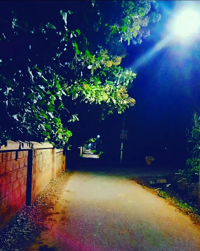 Photo of Hosahalli, A Glimpse Of Tranquility In Bangalore by majaz rahil khan