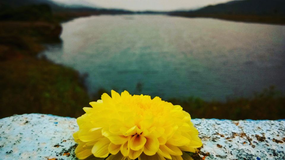 Photo of Thoppaiyaru Dam, K. Thoppur R.F., Tamil Nadu, India by majaz rahil khan
