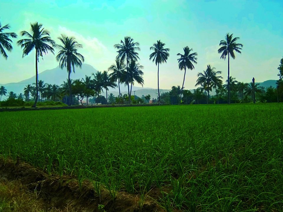 Photo of Thoppur, Tamil Nadu, India by majaz rahil khan