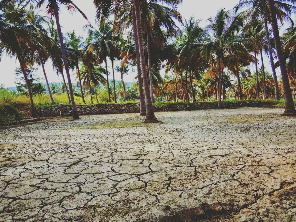 Photo of Thoppur, Tamil Nadu, India by majaz rahil khan