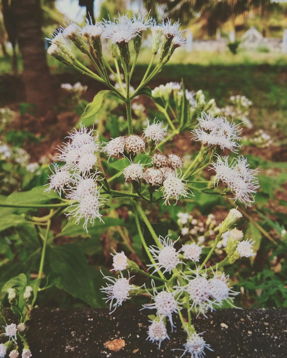 Photo of Thoppur, Tamil Nadu, India by majaz rahil khan