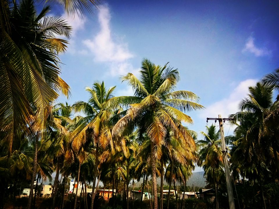 Photo of Thoppur, Tamil Nadu, India by majaz rahil khan