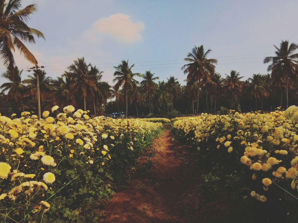 Photo of Thoppur, Tamil Nadu, India by majaz rahil khan