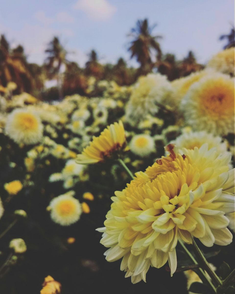 Photo of Thoppur, Tamil Nadu, India by majaz rahil khan