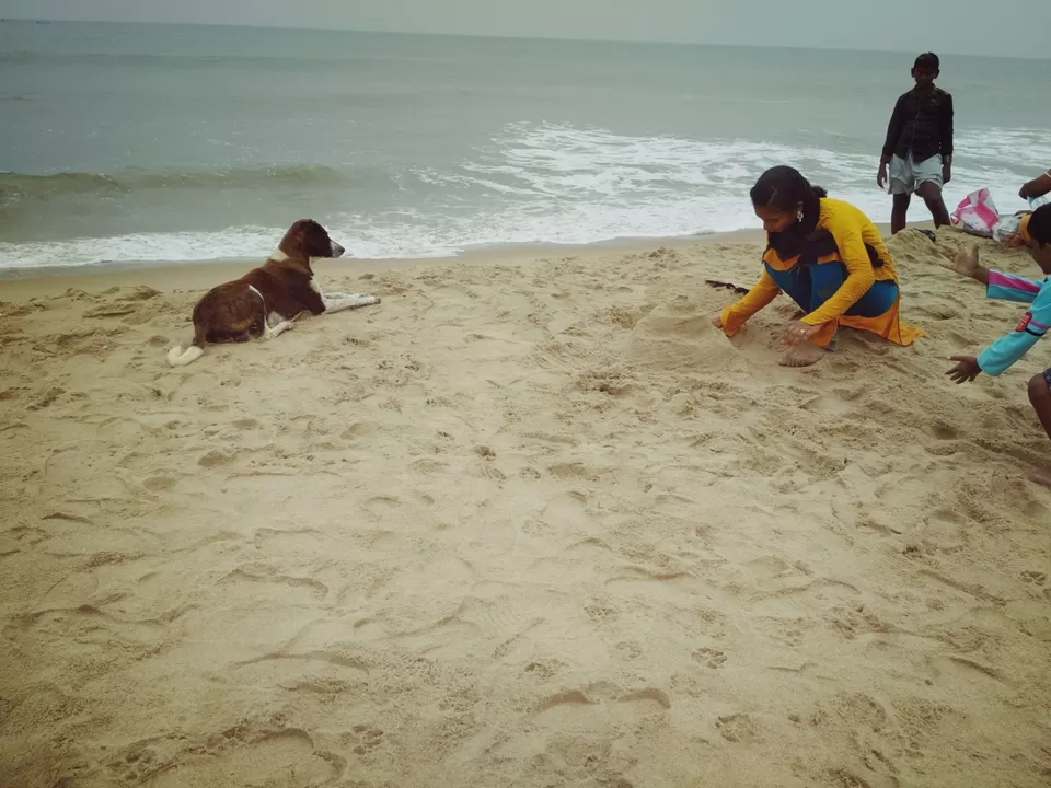 Photo of Serenity Beach, Kottakuppam, Puducherry, Tamil Nadu, India by Smash