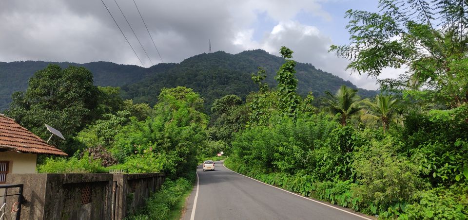 Photo of Agumbe Reserve Forest, Agumbe, Karnataka, India by Nandhagopal
