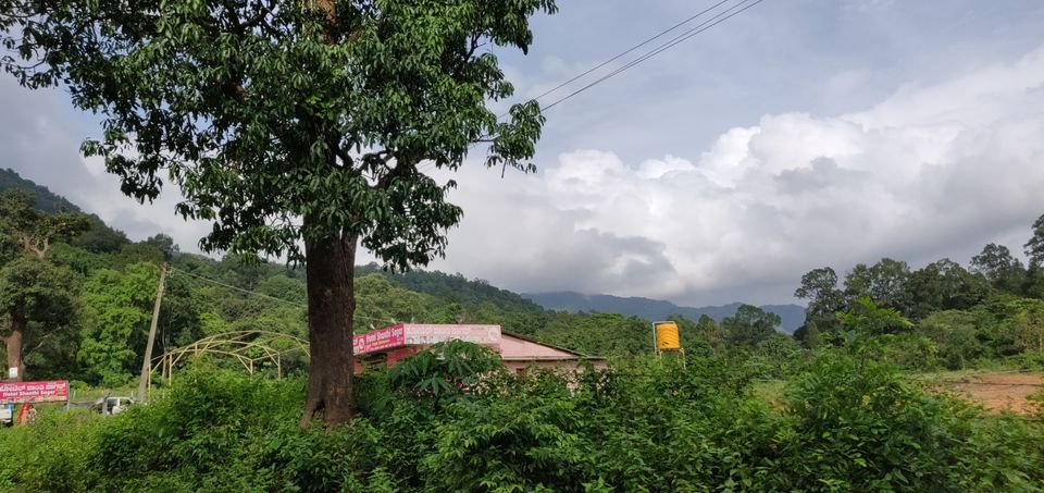 Photo of Agumbe Reserve Forest, Agumbe, Karnataka, India by Nandhagopal
