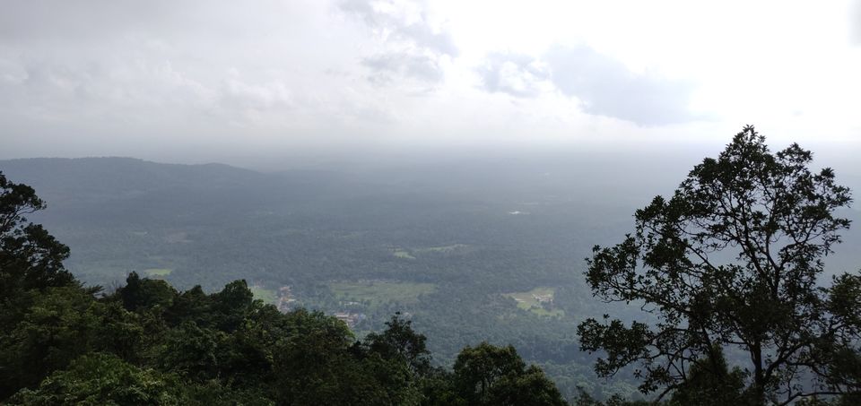 Photo of Agumbe Reserve Forest, Agumbe, Karnataka, India by Nandhagopal