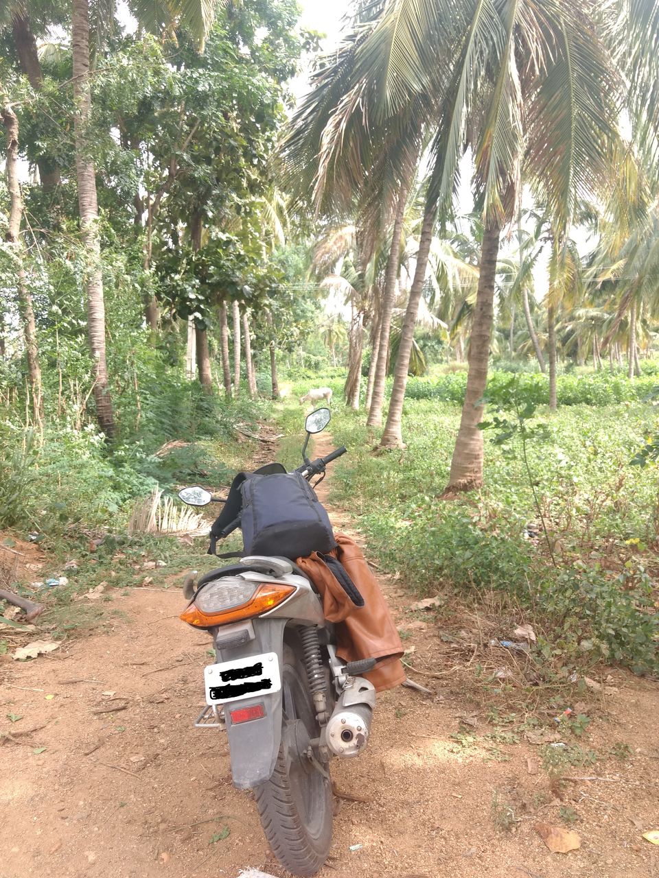 Photo of A Day out with Arkavati by Gowtham Kumar Injamuri