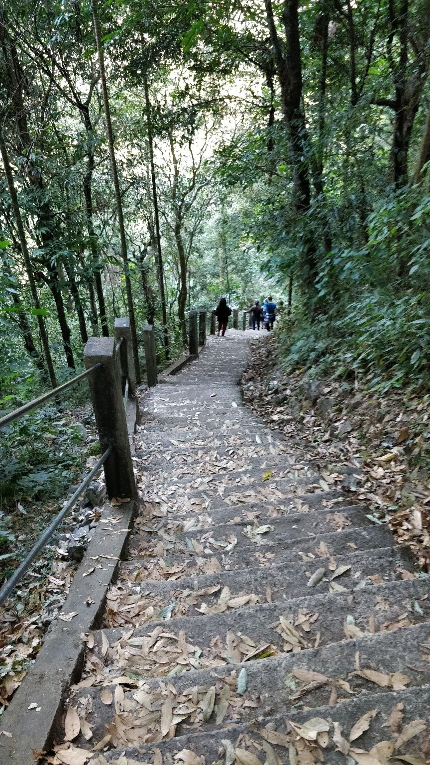 Photo of Shillong, Meghalaya, India by Naveen Raman