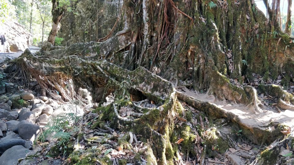 Photo of Shillong, Meghalaya, India by Naveen Raman