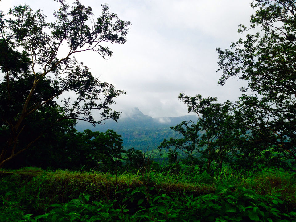 Photo of Kothaligadh Peth – A truly thrilling trek 1/20 by Kirti Pawar