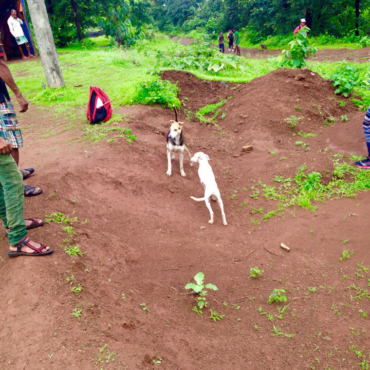 Photo of Kothaligadh Peth – A truly thrilling trek 3/20 by Kirti Pawar