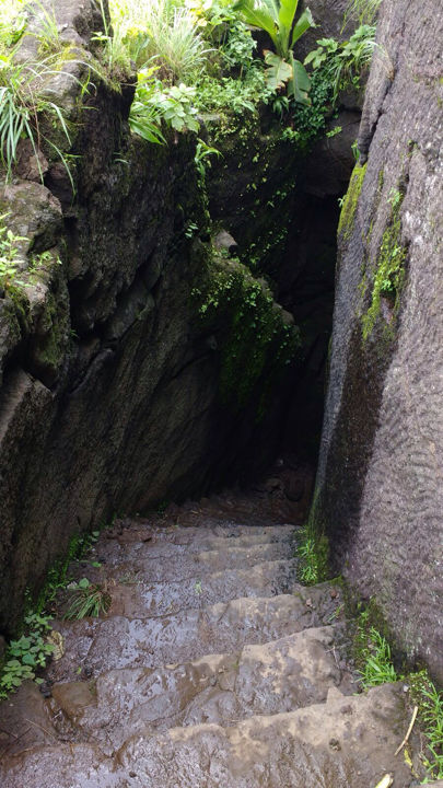 Photo of Kothaligadh Peth – A truly thrilling trek 11/20 by Kirti Pawar
