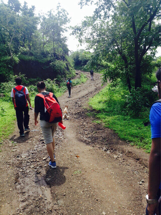 Photo of Kothaligadh Peth – A truly thrilling trek 13/20 by Kirti Pawar