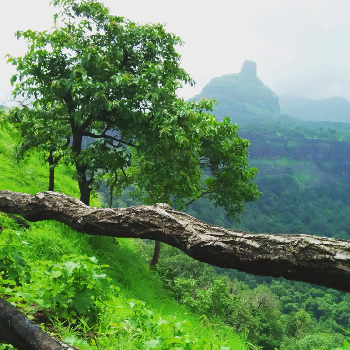 Photo of Kothaligadh Peth – A truly thrilling trek 16/20 by Kirti Pawar