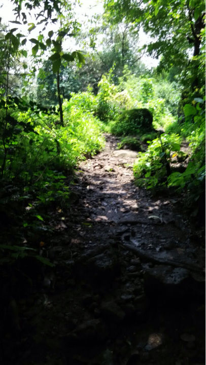 Photo of Kothaligadh Peth – A truly thrilling trek 17/20 by Kirti Pawar