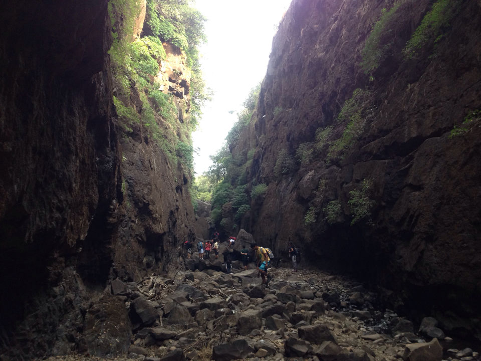 Photo of Sandhan Valley- Never Stop Exploring 7/8 by Kirti Pawar