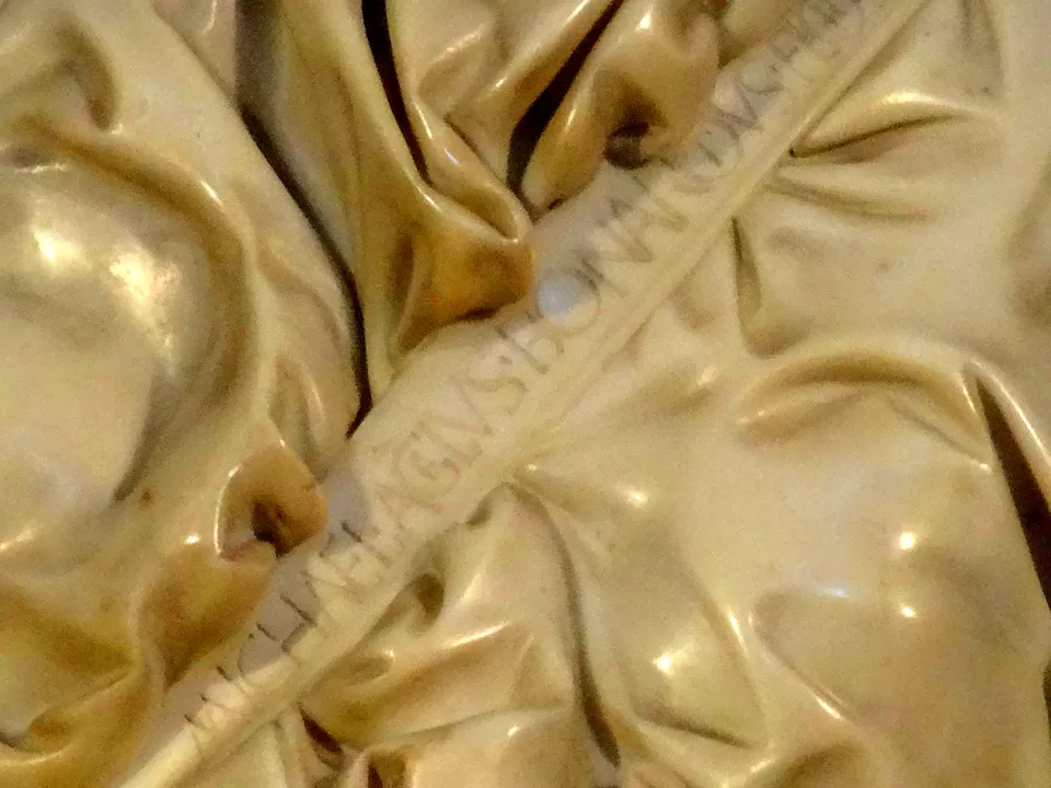 Photo of St. Peter's Basilica, Vatican City by Sumedha Bharpilania