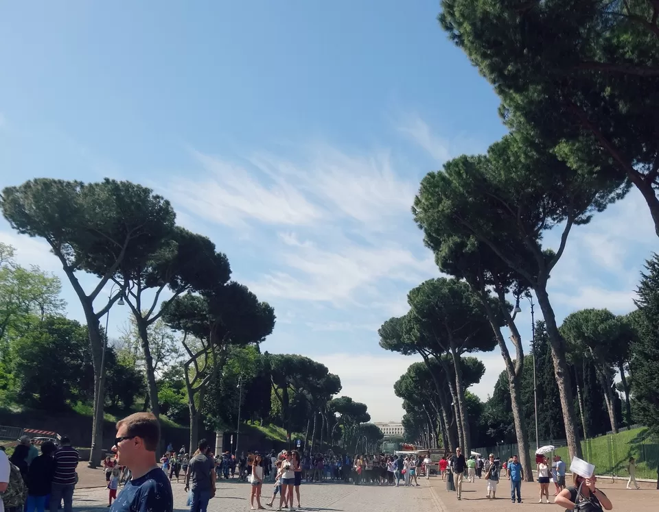 Photo of Palatino / Palatine Hill, Rome, Metropolitan City of Rome, Italy by Sumedha Bharpilania