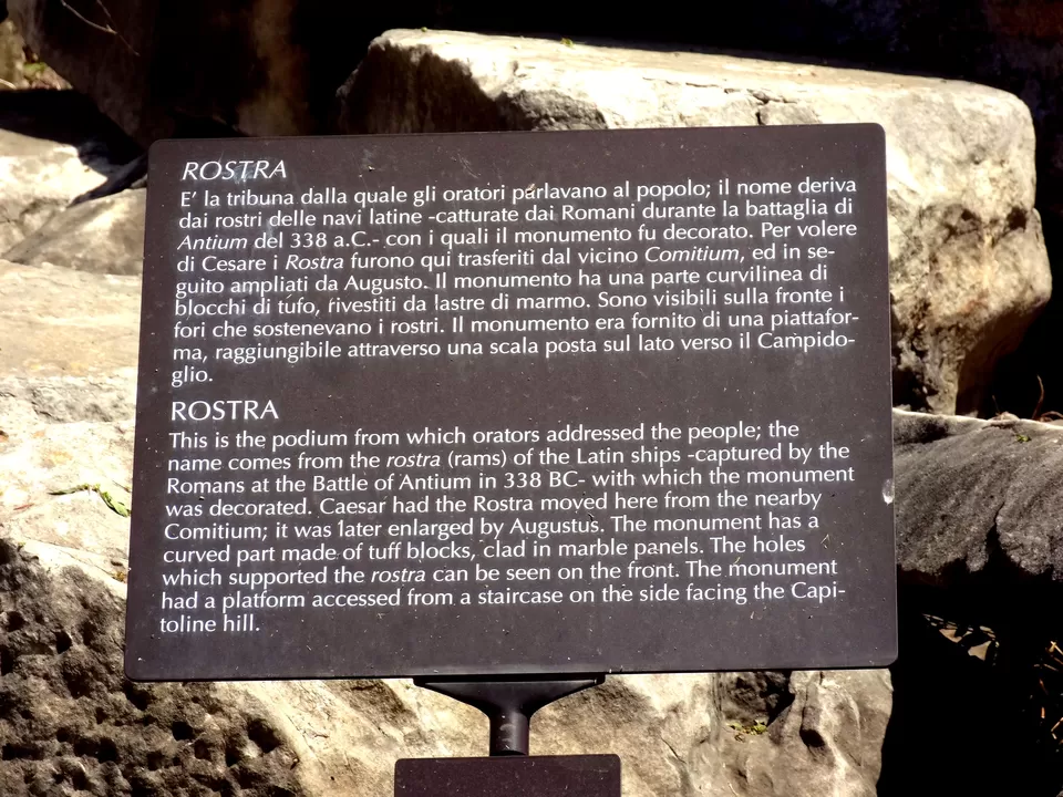 Photo of Roman Forum, Rome, Metropolitan City of Rome, Italy by Sumedha Bharpilania