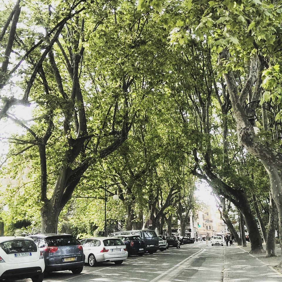 Photo of La Spezia, Italy by Sumedha Bharpilania
