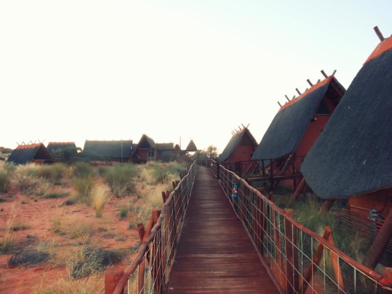 Photo of That One Time I Woke Up To Lions Roaring Outside My Tent 4/4 by Sumedha Bharpilania