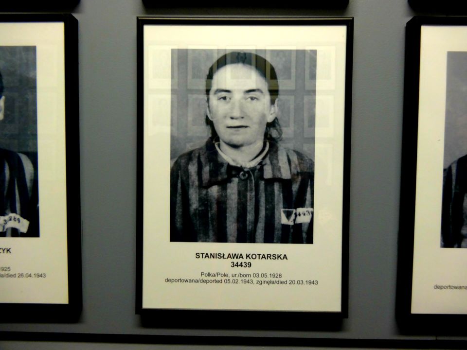 Photo of When History Breaks Your Heart : Auschwitz-Birkenau 10/21 by Sumedha Bharpilania