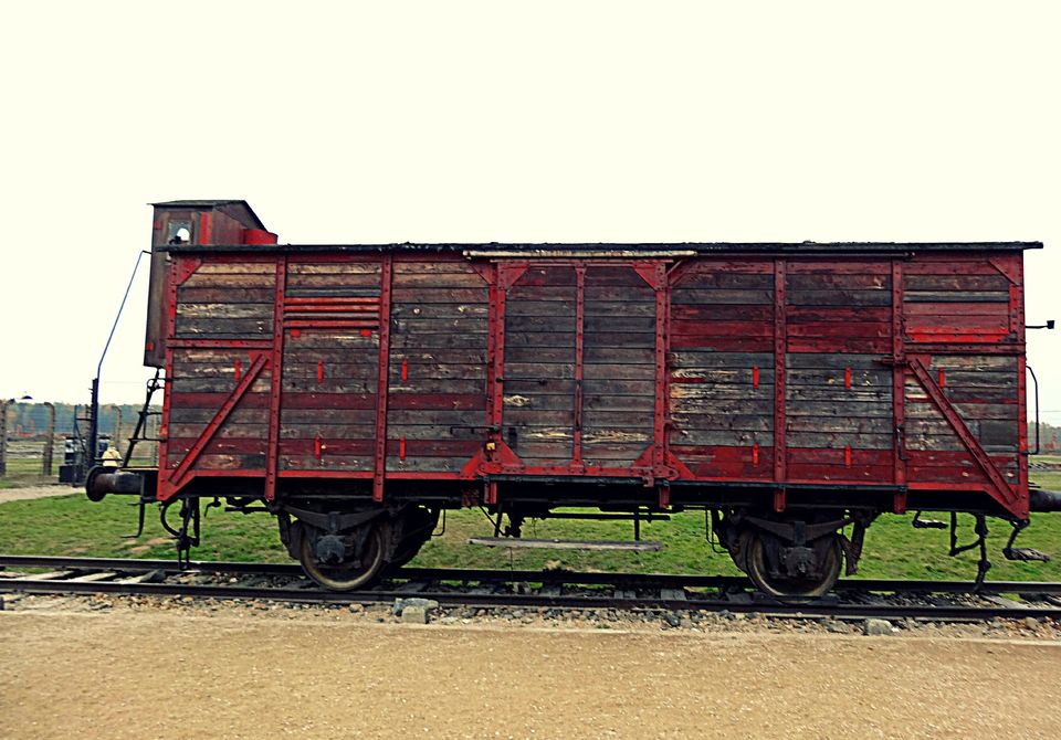 Photo of When History Breaks Your Heart : Auschwitz-Birkenau 15/21 by Sumedha Bharpilania