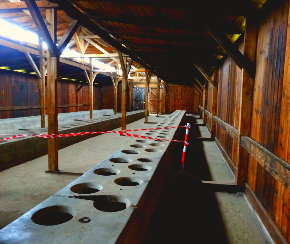 Photo of When History Breaks Your Heart : Auschwitz-Birkenau 18/21 by Sumedha Bharpilania