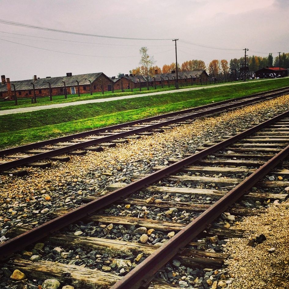 Photo of When History Breaks Your Heart : Auschwitz-Birkenau 20/21 by Sumedha Bharpilania