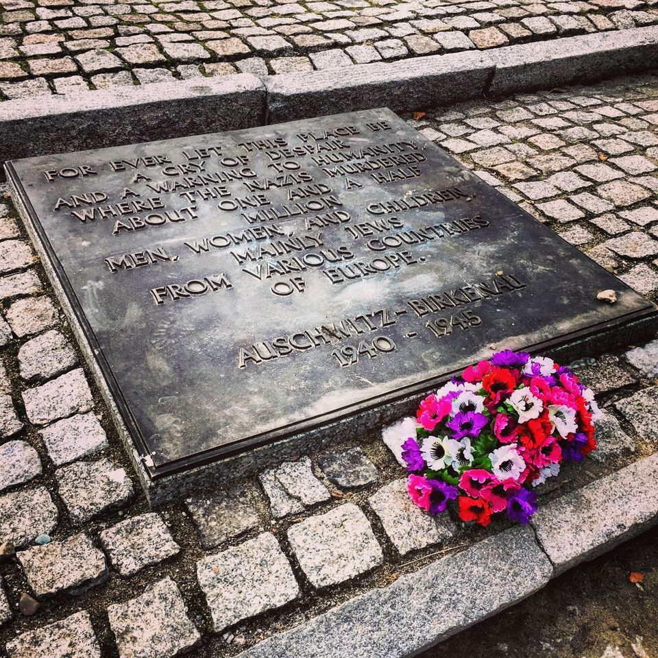 Photo of When History Breaks Your Heart : Auschwitz-Birkenau 21/21 by Sumedha Bharpilania