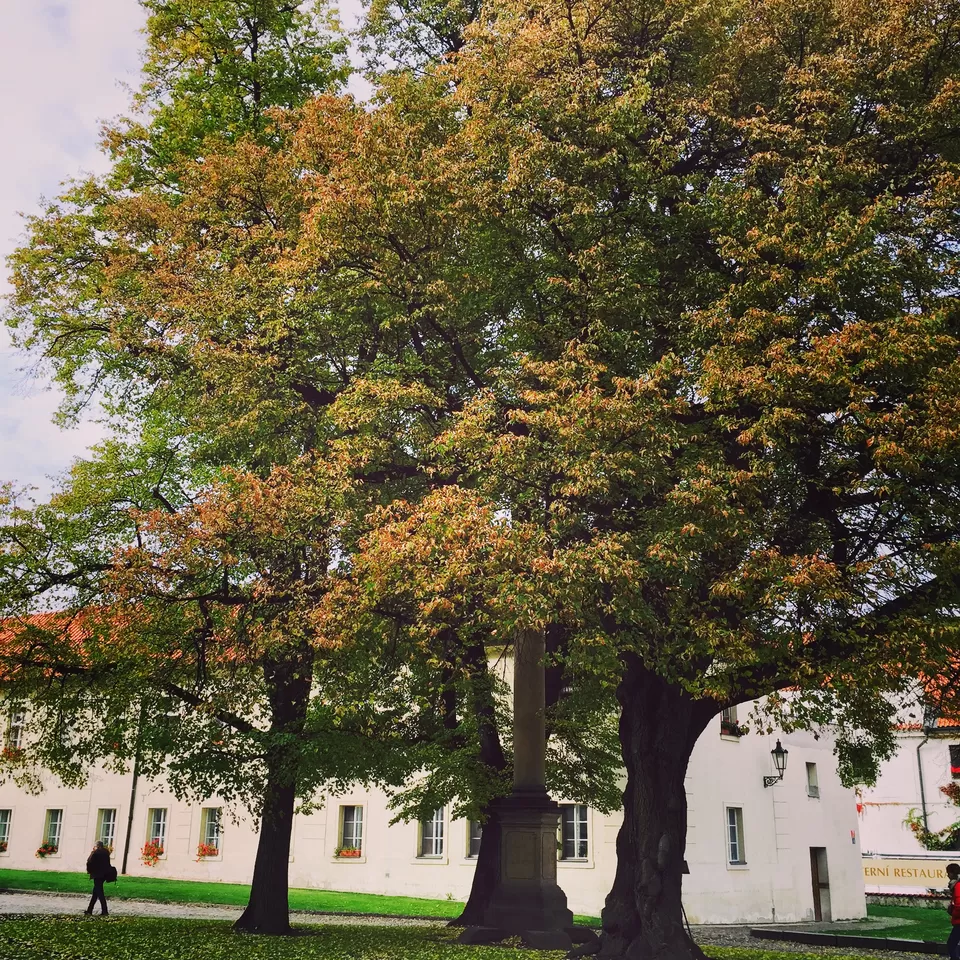 Photo of Strahov Monastery, Strahovské nádvoří, Prague-Prague 1, Czech Republic by Sumedha Bharpilania