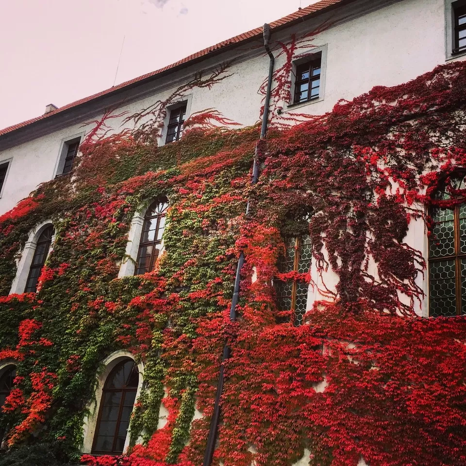 Photo of Strahov Monastery, Strahovské nádvoří, Prague-Prague 1, Czech Republic by Sumedha Bharpilania