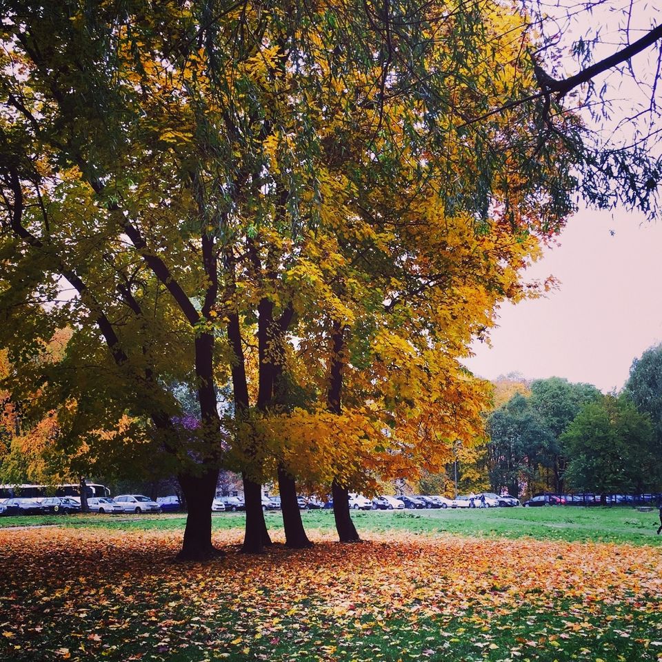 Photo of I Found Love In A Hopeless Place: Krakow, Poland (Part 1) 6/6 by Sumedha Bharpilania