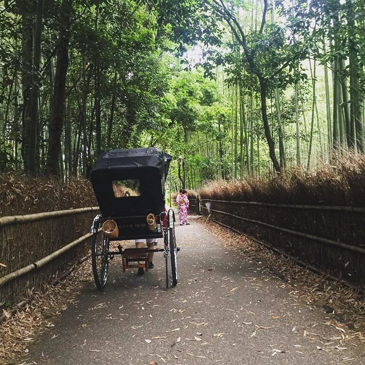 Photo of Japan by Sumedha Bharpilania