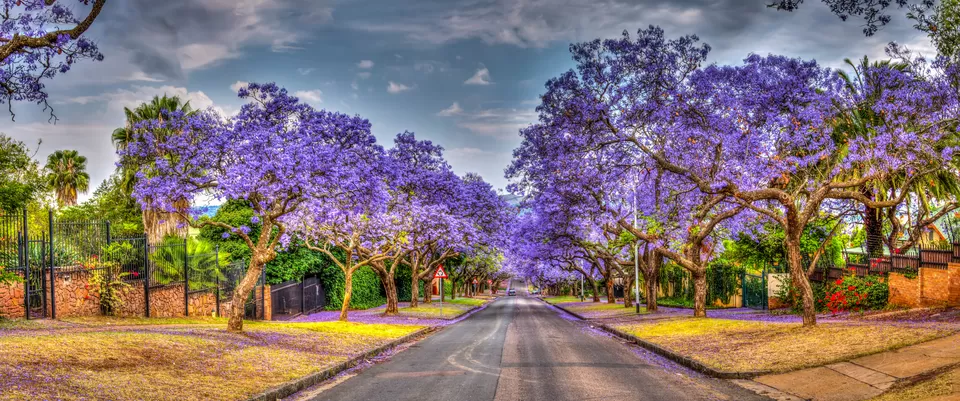 Photo of Pretoria, Gauteng, South Africa by Sumedha Bharpilania