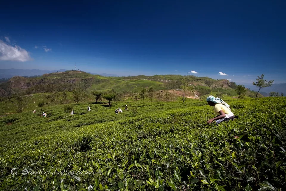 Photo of Haputale, Uva Province, Sri Lanka by Sumedha Bharpilania