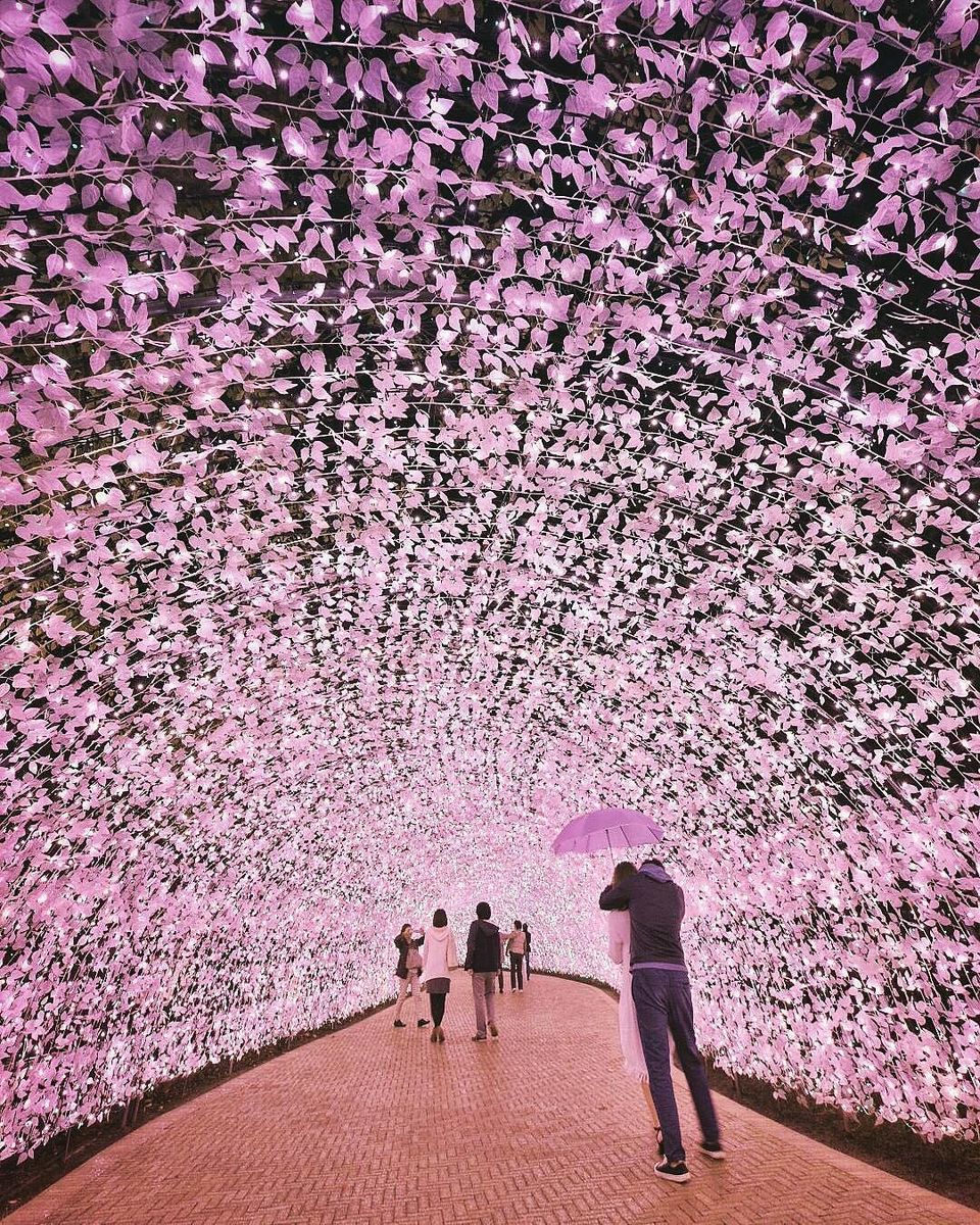 Photo of Asian Festivals You Must Attend In 2018 1/8 by Sumedha Bharpilania