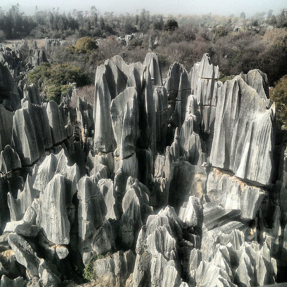 Photo of I was lost in China and it was a roller coaster ride 11/19 by Sumedha Bharpilania