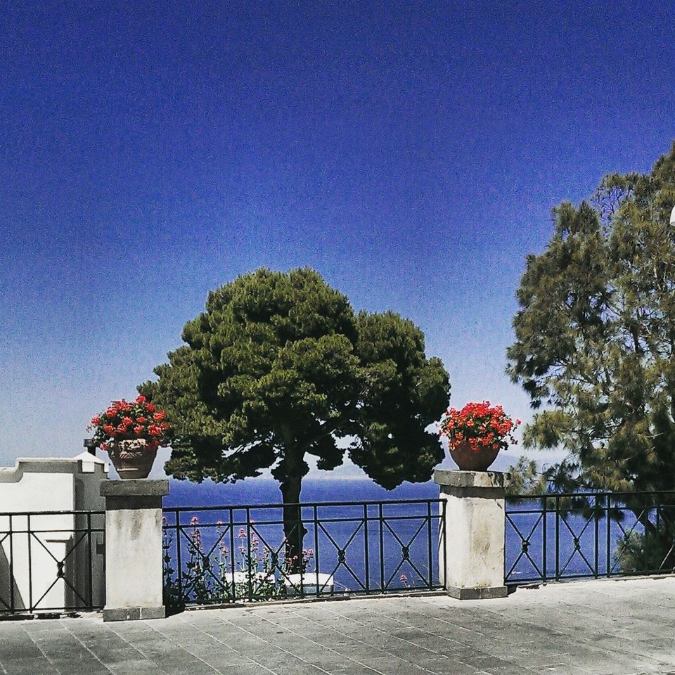 Photo of Of Pizza Marinara And Overwhelming Discoveries: Naples 10/26 by Sumedha Bharpilania