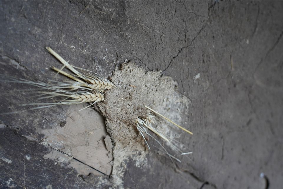 Photo of Chlo chlein Swarg ki raah by Em Vames
