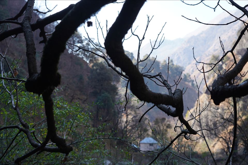 Photo of Chlo chlein Swarg ki raah by Em Vames