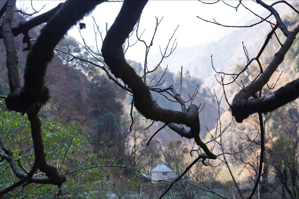 Photo of Chlo chlein Swarg ki raah by Em Vames