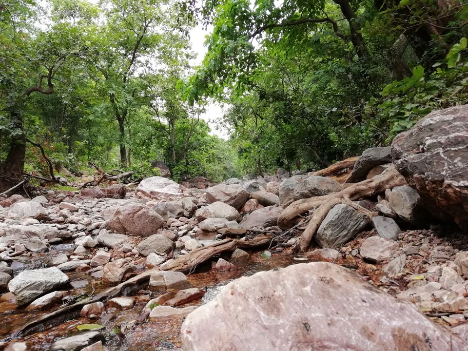 Photo of Calmness of the Wilds by Jigar Mevada