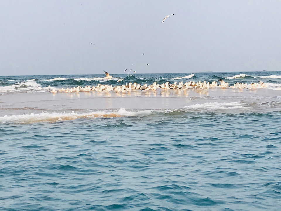Photo of Weekend in Tarkarli by Travelisafeeling